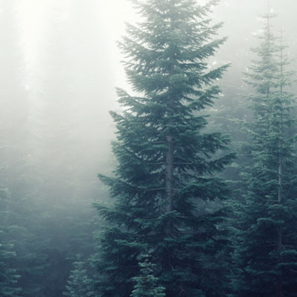 Meet your Posher, Julio - Picture 1 of 1